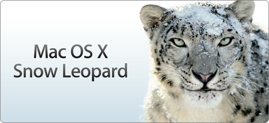 snow-leopard